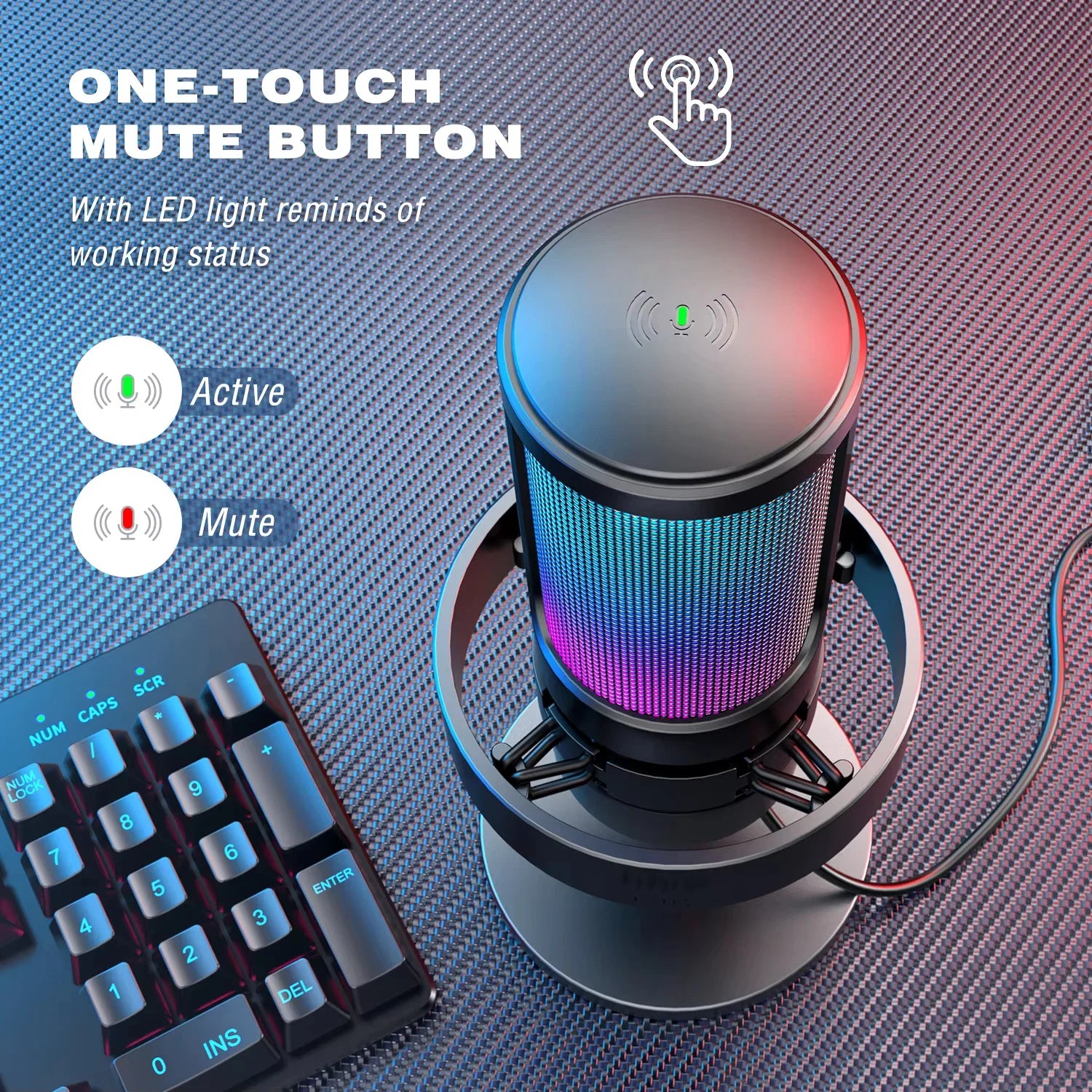 FIFINE Gaming Microphone with RGB Control, Mute Touch,Condenser Computer Desktop Mic with Pop Filter for Recording/Streaming